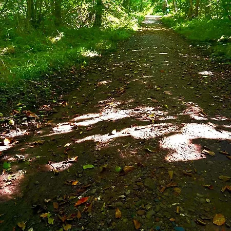 Strandzone 29 * Kronsgaard