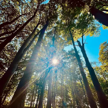 Tatil Evi Strandzone 29 Kronsgaard