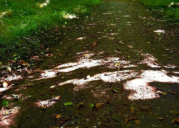 Strandzone 29 * Kronsgaard