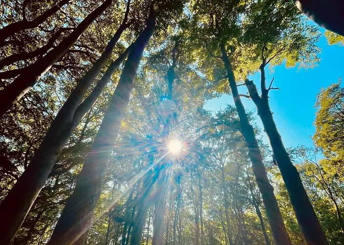 Dom wakacyjny Strandzone 29 Kronsgaard